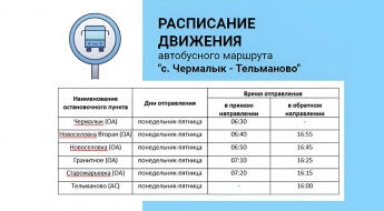 В Донецкой Народной Республике возобновлена перевозка пассажиров по круглогодичному маршруту общественного транспорта № 102 «Чермалык-Тельманово»